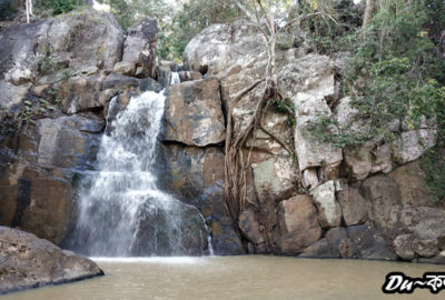 দারিংবাড়ির অন্দরমহলে