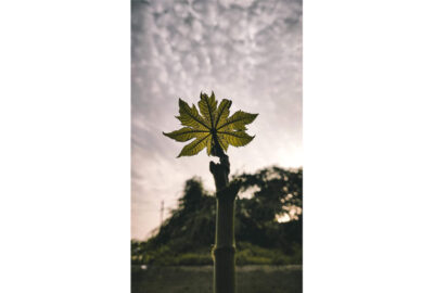 ঝড় আসে